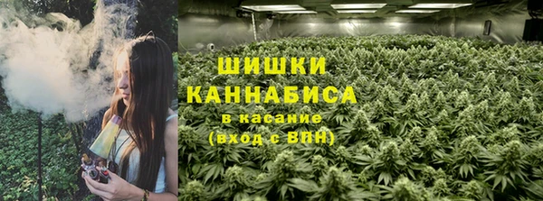 мет Мегион
